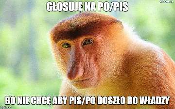 Brutalny gwałt na RIGCzu.